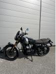 BEAR 650